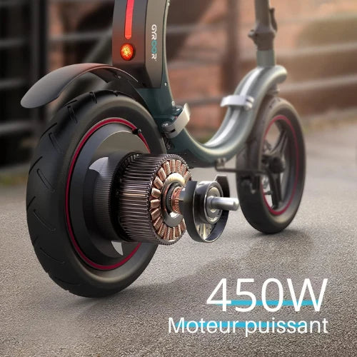 RideFlex folding electric bike