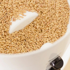 Grainora